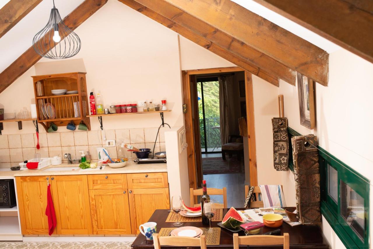 Vila Erella'S Roš Pina Exteriér fotografie